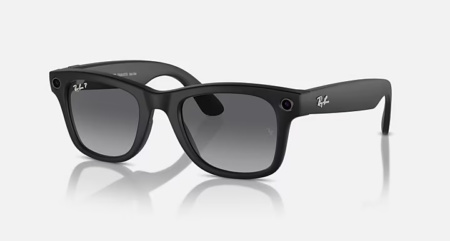 Wayfarer - L size (53-22)